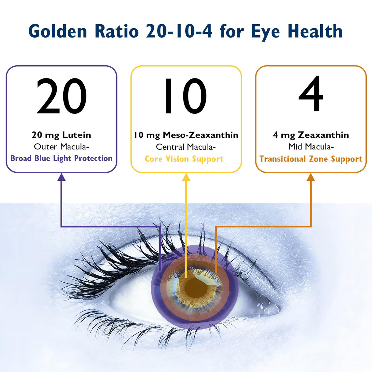 Ficpoud Neurobella Eye Formula 16-in-1 arrière de l'emballage