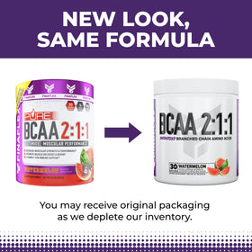 FINAFLEX PURE BCAA 2:1:1 avec shaker et accessoires de sport