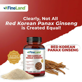 FineLand Ginseng Coréen Rouge Panax 120 capsules végétales en main