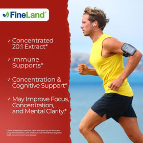 FineLand Ginseng Coréen Rouge Panax 120 capsules végétales sur fond neutre