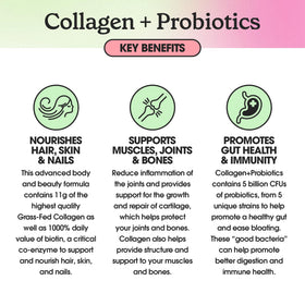Fit & Lean Collagen + Probiotics Poudre 30 Serv. ingrédients