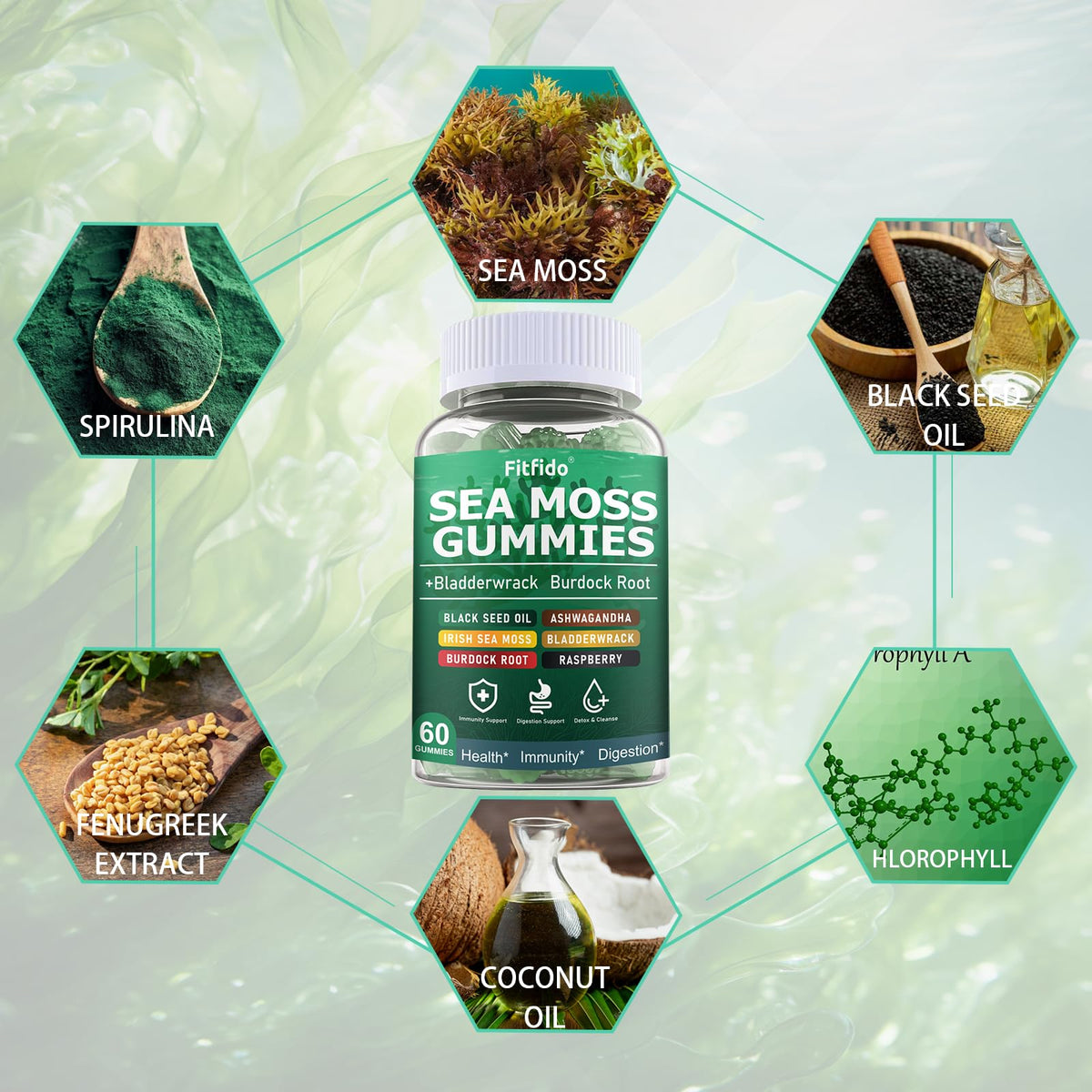 Fitfido Gummies de Mousse Irlandaise 3000mg avec ingrédients visibles