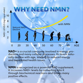 Fitfido NMN 500mg avec étiquette détaillée des ingrédients