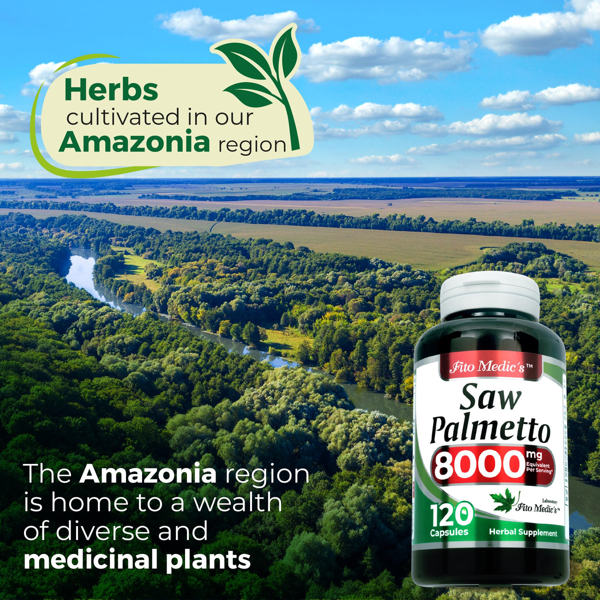 FITO MEDIC'S capsules de Saw Palmetto, détails des ingrédients sur l'étiquette
