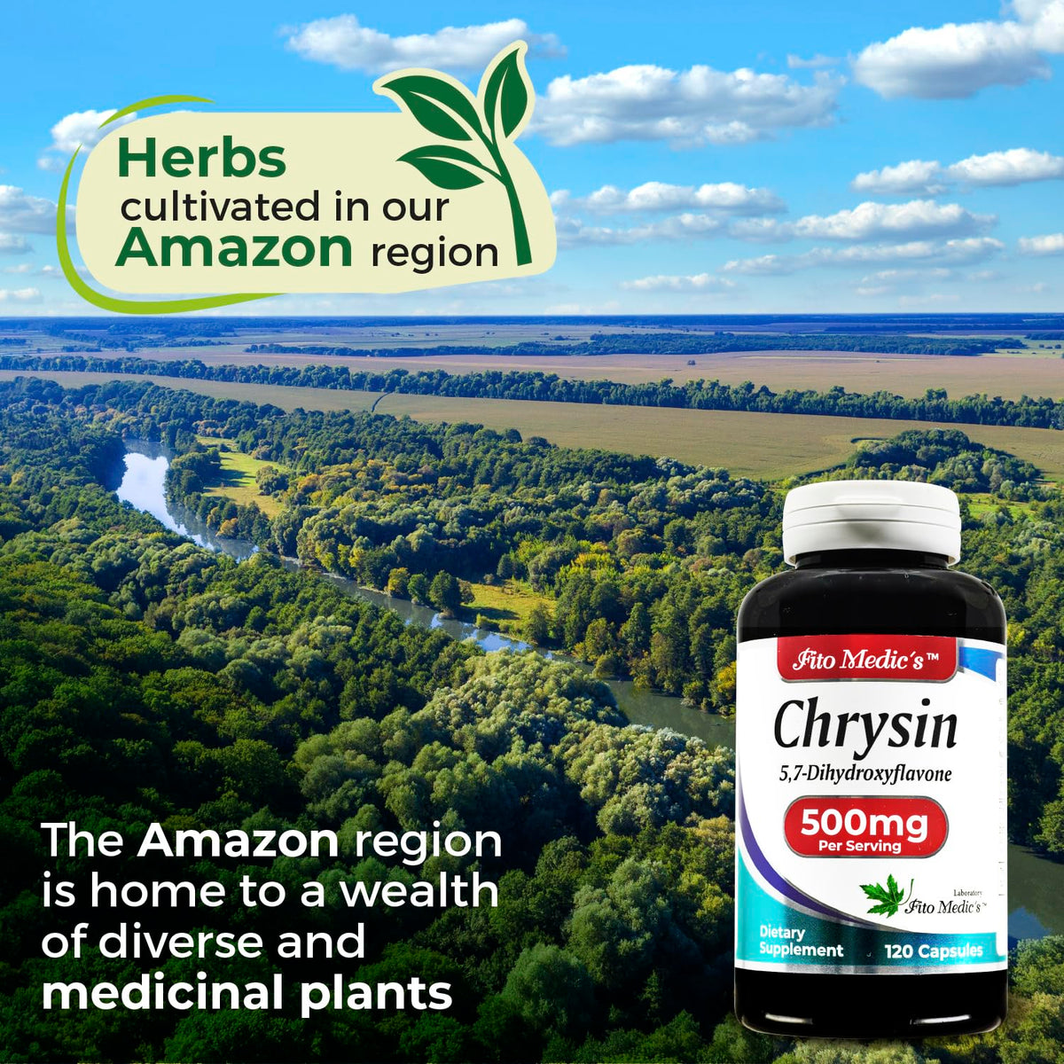 FITO MEDIC'S Chrysin 120 capsules sur fond neutre