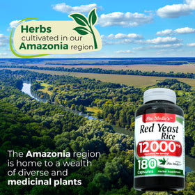 FITO MEDIC'S Riz Rouge bouteille ouverte avec capsules