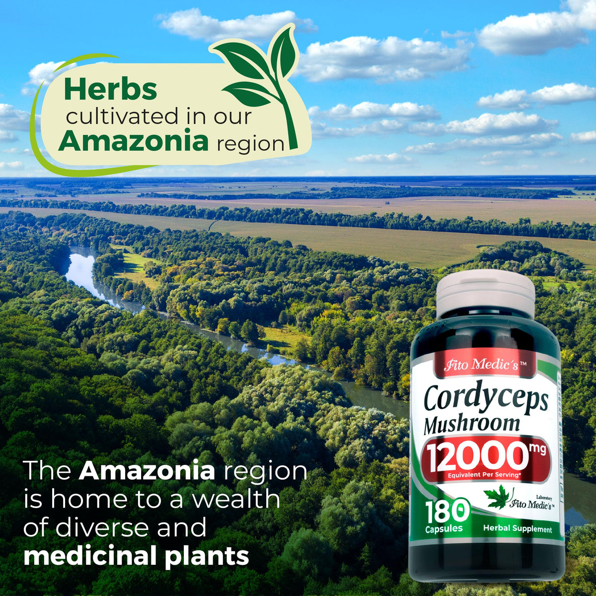 FITOMEDIC'S Champignon Cordyceps capsules à côté d'un verre d'eau