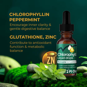 FitVitality Chlorophylle Liquide 100mg flacon et goutte à goutte