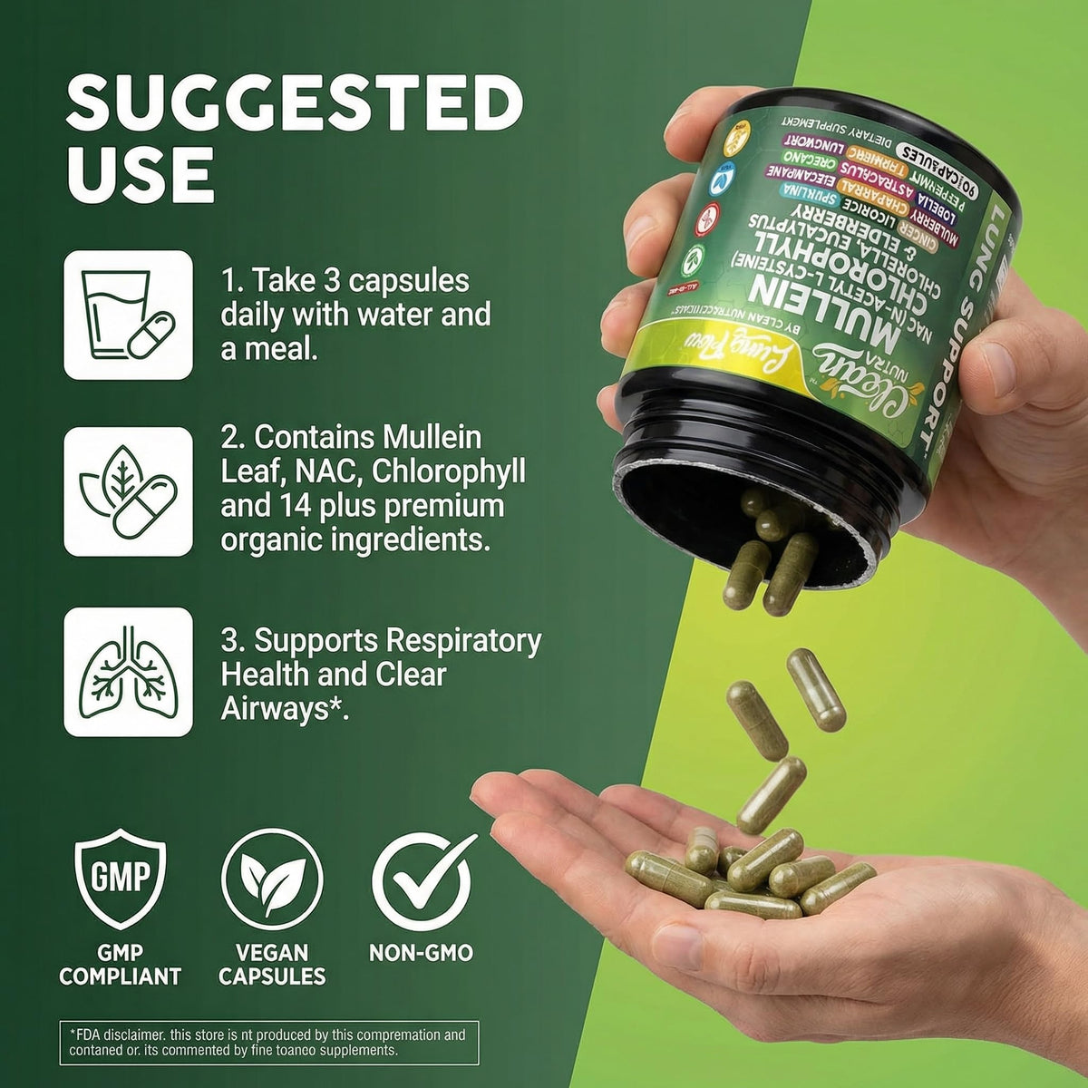 Flacon Clean Nutraceuticals Extrait de Feuille de Molène sur fond blanc