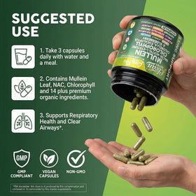 Flacon Clean Nutraceuticals Extrait de Feuille de Molène sur fond blanc