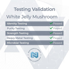 Flacon contenant des capsules de champignon Jelly Blanc Nootropics Depot