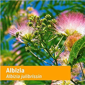 Flacon d'Albizia Herb Pharm avec des ingrédients naturels en arrière-plan