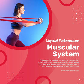 Flacon d'Alkazone Potassium+ Liquide 1,25 Oz sur une table