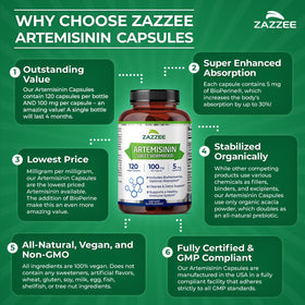 Flacon d'Artemisinin Zazzee ouvert avec capsules à l'intérieur