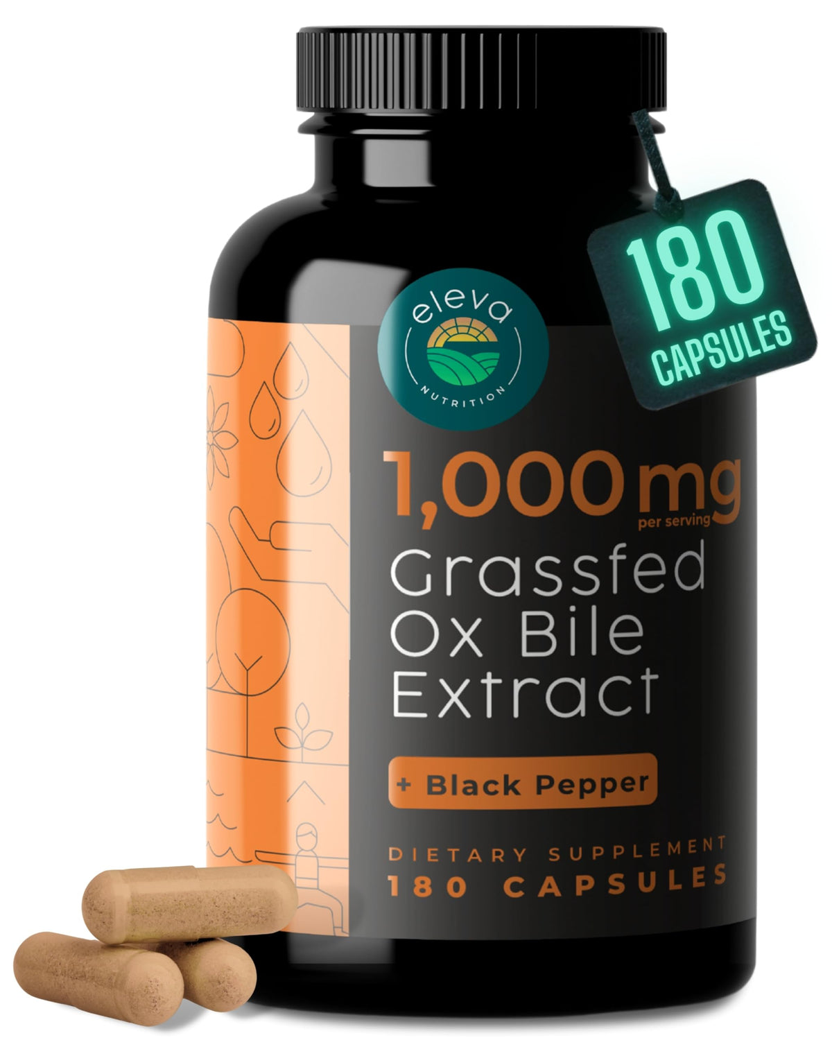 Flacon d'Eleva Nutrition Ox Bile 1000mg 180 capsules vue de face