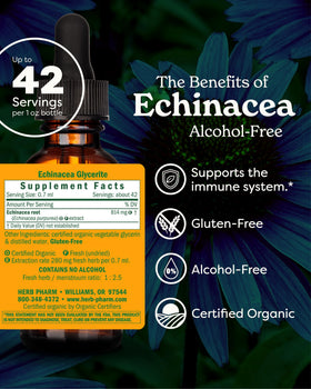 Flacon d'extrait d'Échinacée Herb Pharm 30 ml avec étiquette visible