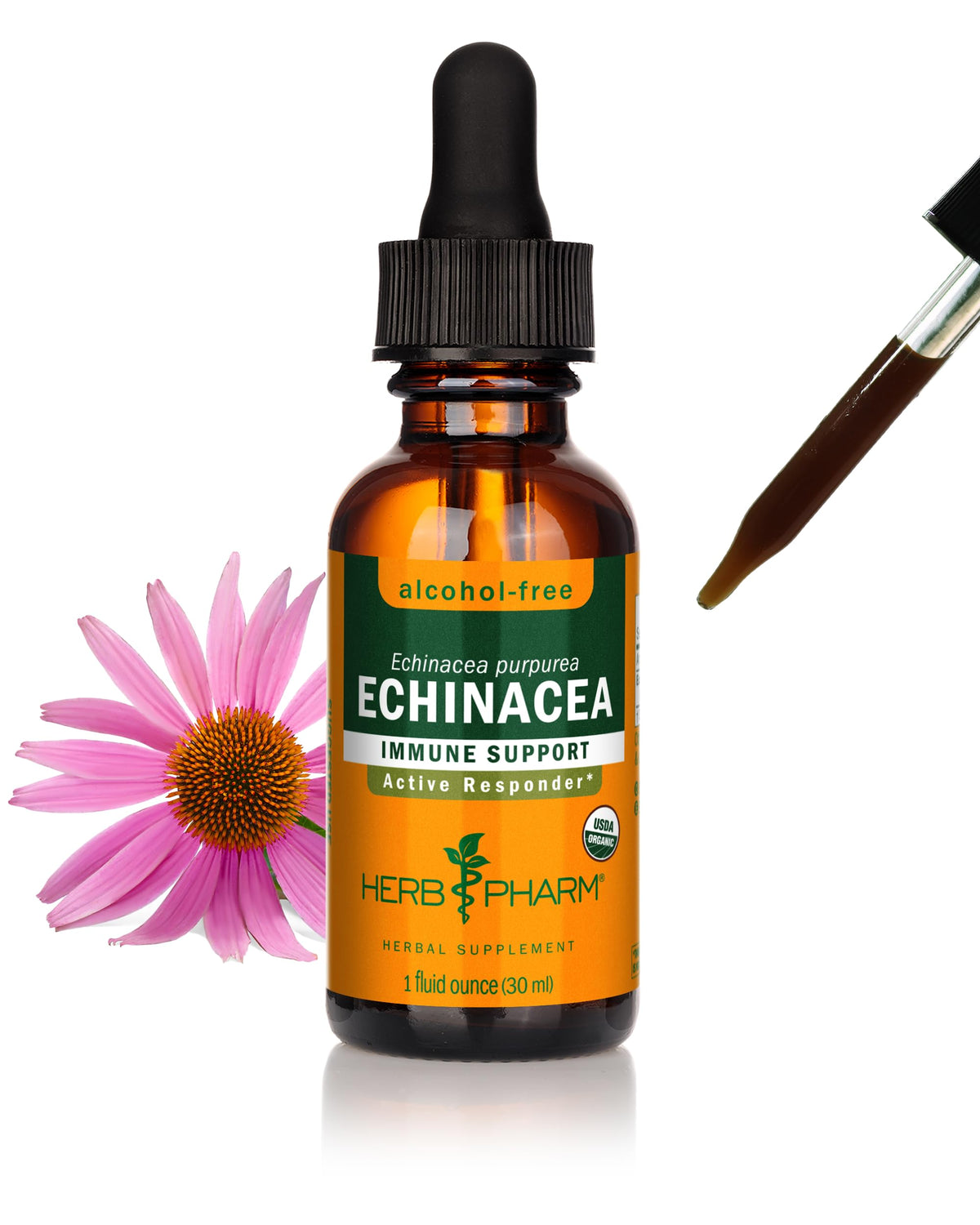 Flacon d'extrait d'Échinacée Herb Pharm 30 ml vue de face