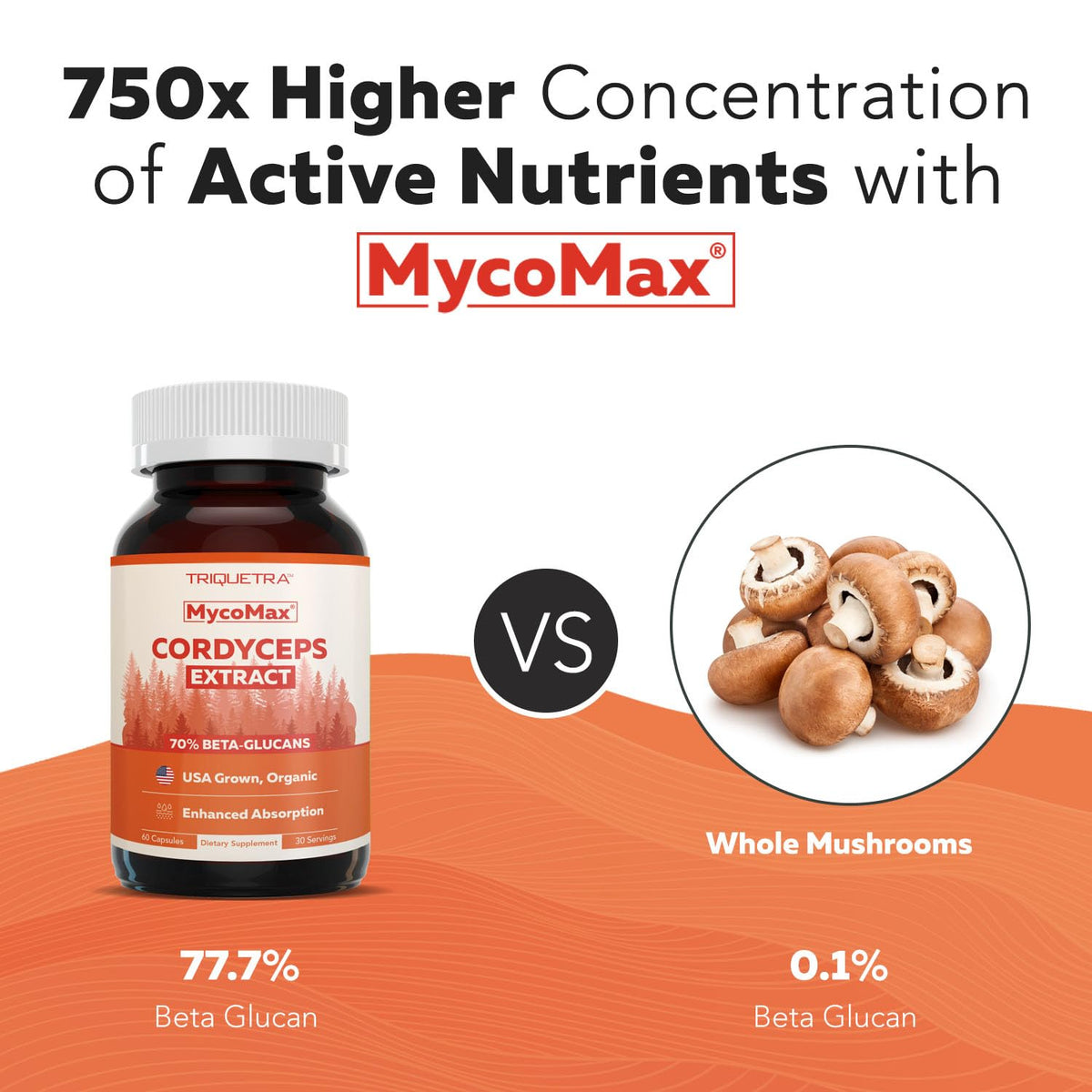 Flacon d'extrait de champignon cordyceps bio avec capsules à côté