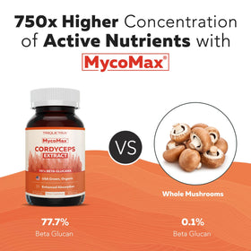 Flacon d'extrait de champignon cordyceps bio avec capsules à côté