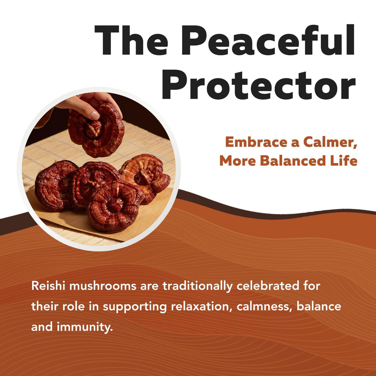 Flacon d'extrait de champignon Reishi avec dose à côté