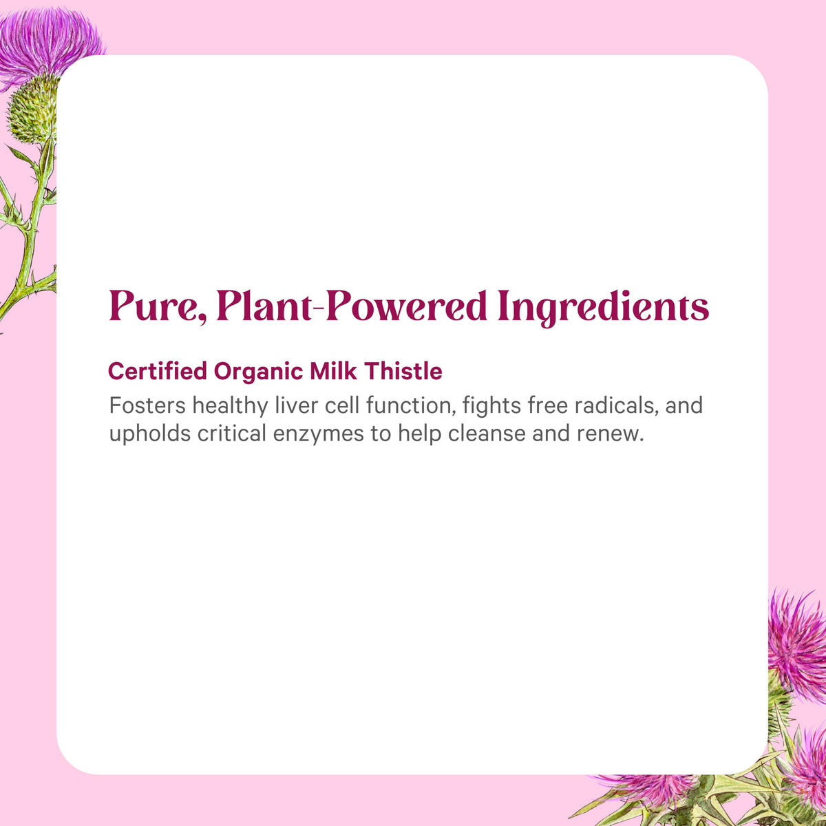 Flacon d'extrait de chardon-marie bio PURE SYNERGY sur fond neutre