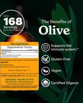Flacon d'extrait de feuille d'olivier bio Herb Pharm avec étiquette