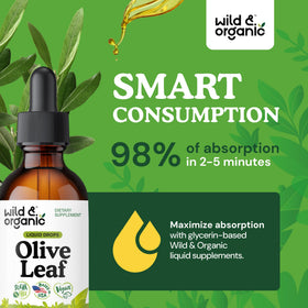 Flacon d'extrait de feuille d'olivier Wild & Organic avec un arrière-plan naturel
