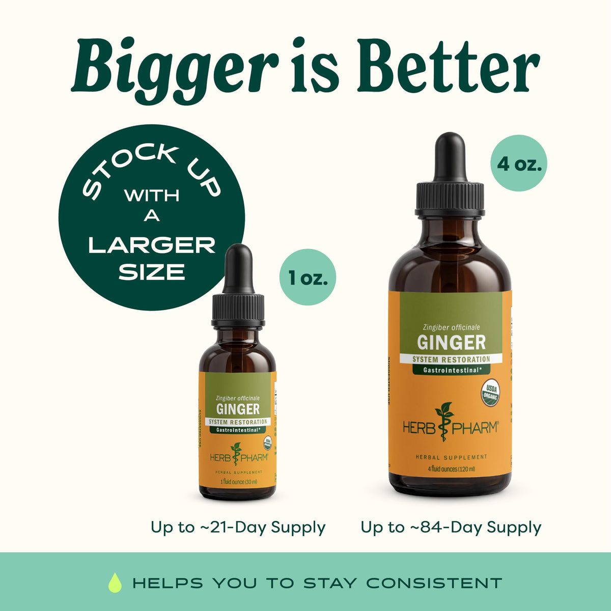 Flacon d'extrait de gingembre Herb Pharm sur un fond neutre