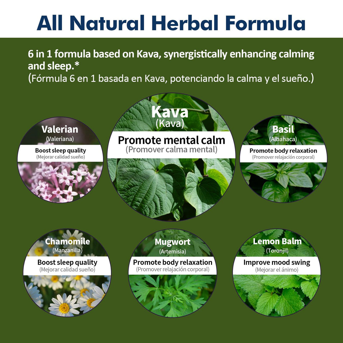 Flacon d'extrait de Kava Kava avec une cuillère doseuse