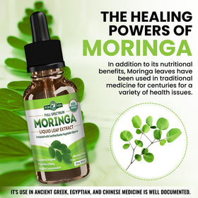 Flacon d'extrait de Moringa sur une table en bois