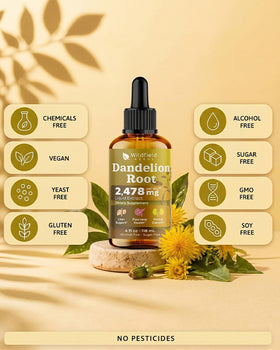 Flacon d'extrait de racine de pissenlit WILDFIELD HERBS avec un fond de plantes
