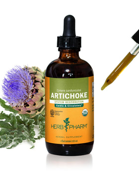 Flacon d'extrait liquide d'artichaut bio Herb Pharm, 118 ml