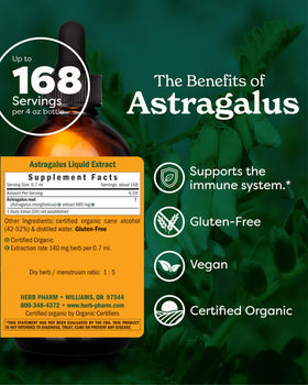 Flacon d'extrait liquide d'Astragale Bio Herb Pharm 120 ml avec étiquette
