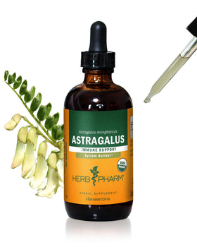 Flacon d'extrait liquide d'Astragale Bio Herb Pharm 120 ml vue de face