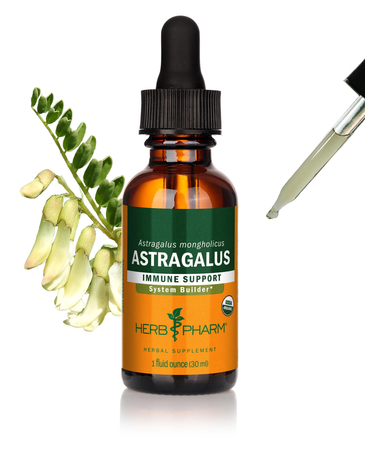 Flacon d'extrait liquide d'Astragale bio Herb Pharm 30 ml