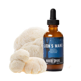 Flacon d'extrait liquide de Crinière de Lion North Spore 118g