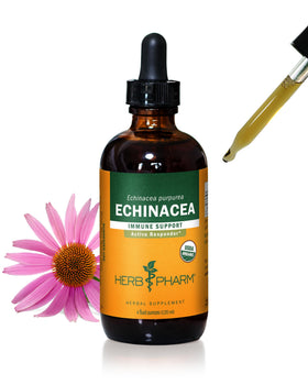 Flacon d'extrait liquide de racine d'échinacée bio Herb Pharm, 118 ml
