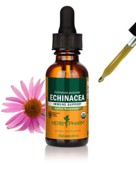 Flacon d'extrait liquide de racine d'échinacée bio Herb Pharm vue de face