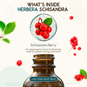 Flacon d'extrait liquide de Schisandra HerbEra sur fond neutre