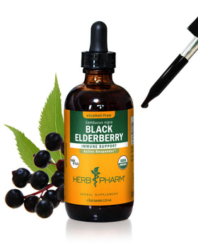 Flacon d'extrait liquide de sureau noir bio Herb Pharm 120 ml