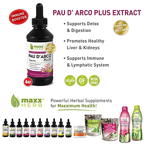 Flacon d'extrait liquide Pau D'Arco Maxx Herb sur fond blanc