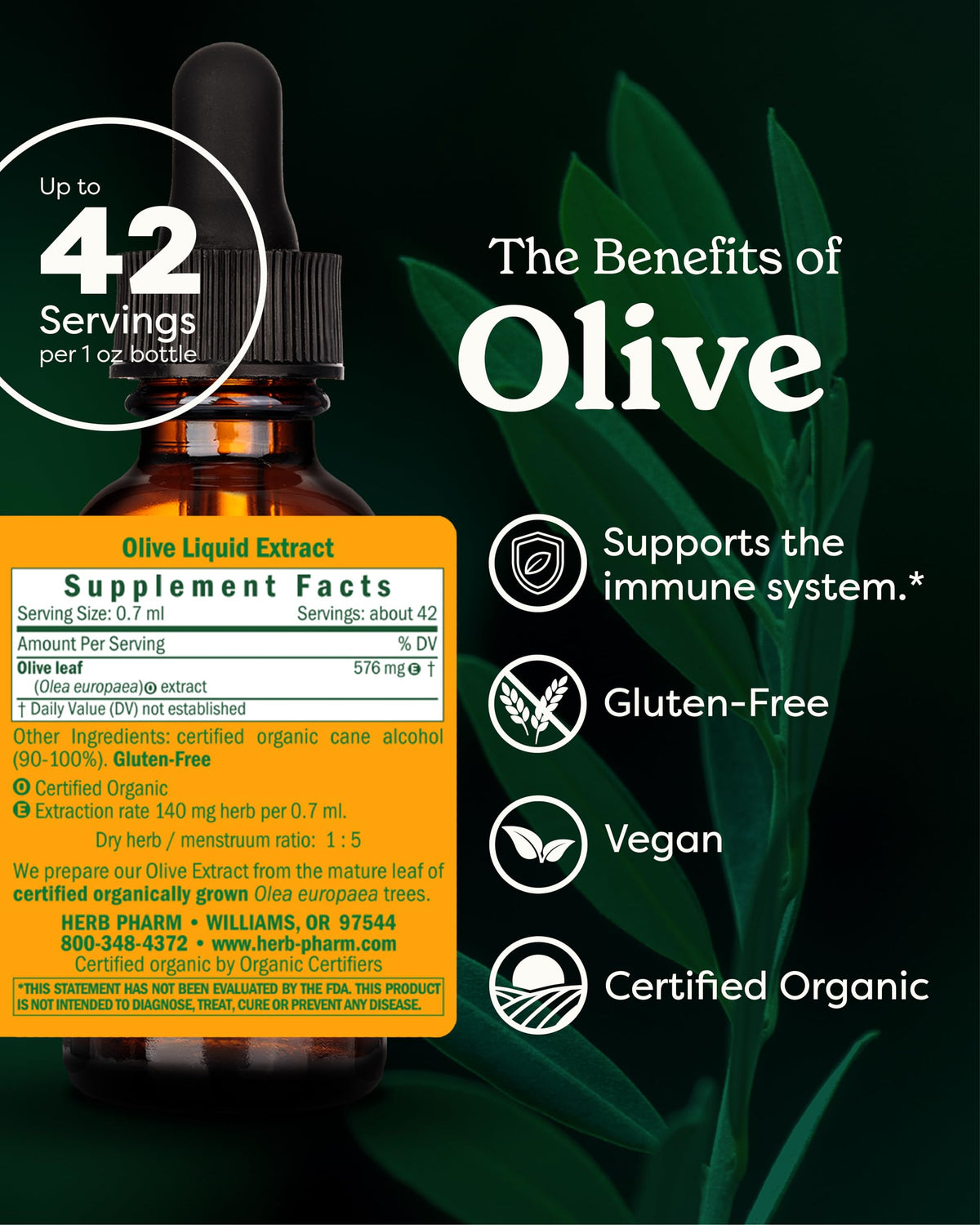 Flacon d'Herb Pharm Extrait Liquide de Feuille d'Olivier Bio avec étiquette