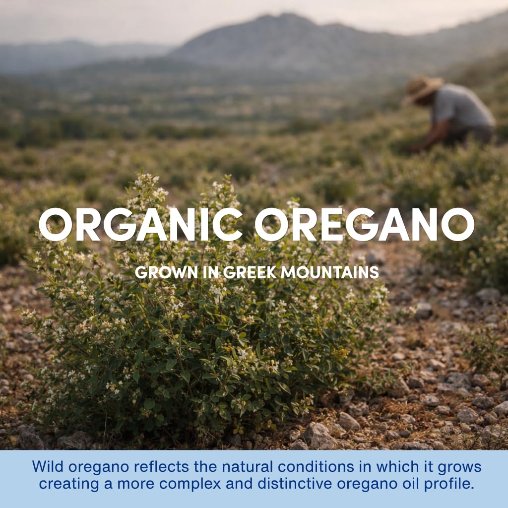 Flacon d'huile d'origan bio AROMAVITA avec des herbes fraîches