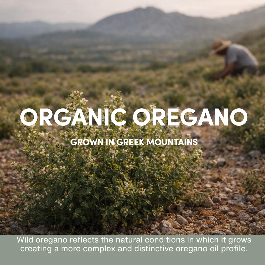 Flacon d'huile d'origan sauvage AROMAVITA ouvert