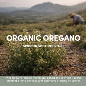 Flacon d'huile d'origan sauvage AROMAVITA ouvert