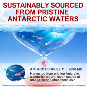 Flacon d'huile de krill antarctique ZUZOKKAHA sur une table en bois