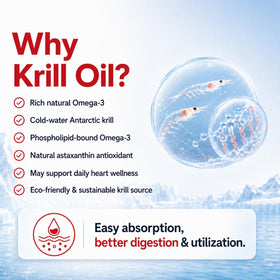 Flacon d'huile de krill DR.VITPOSY ouvert avec gélules