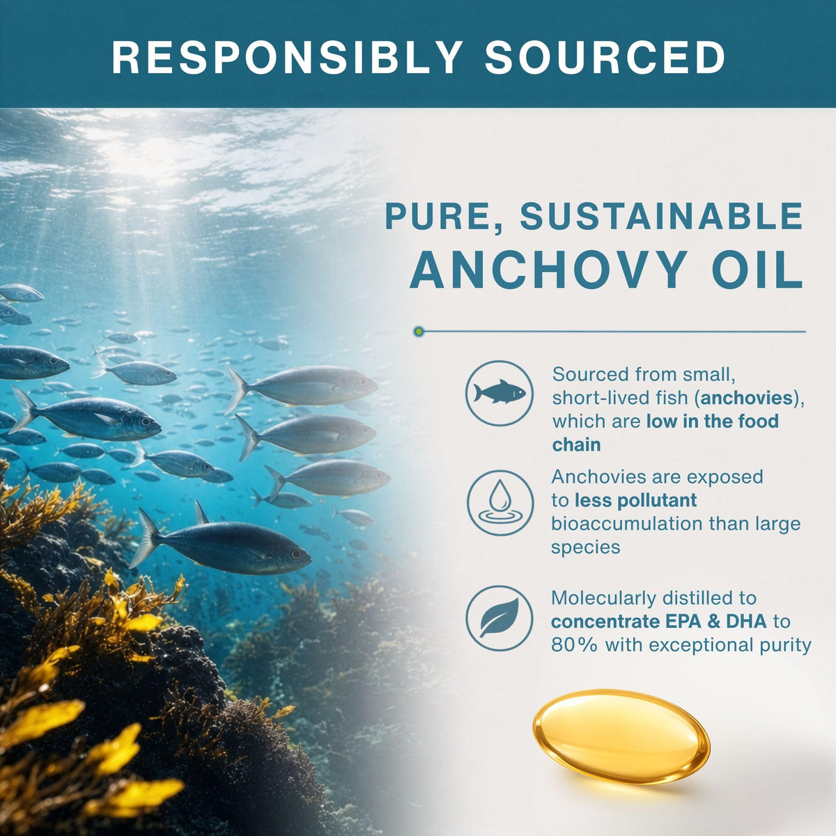 Flacon d'Igennus Pharmepa Omega 3 EPA DHA ouvert