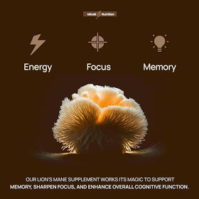 Flacon d'Ultra6 Nutrition avec capsules de champignon lion sur fond blanc