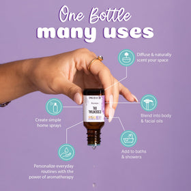 Flacon de 0,25 oz d'huile essentielle bio de feuille de cannelle Aura Cacia